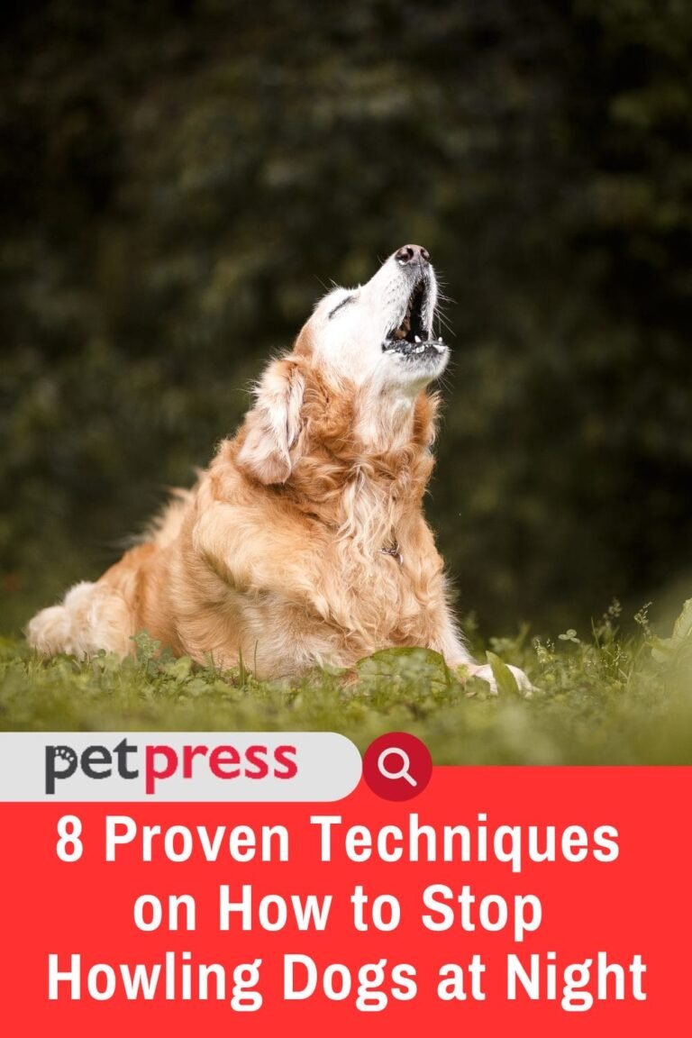 How To Stop A Dog From Howling At Night