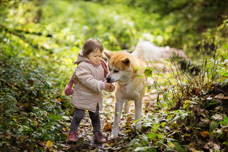 Why Do Dogs Bond With One Person