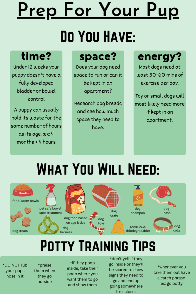 How To Prepare For A Dog