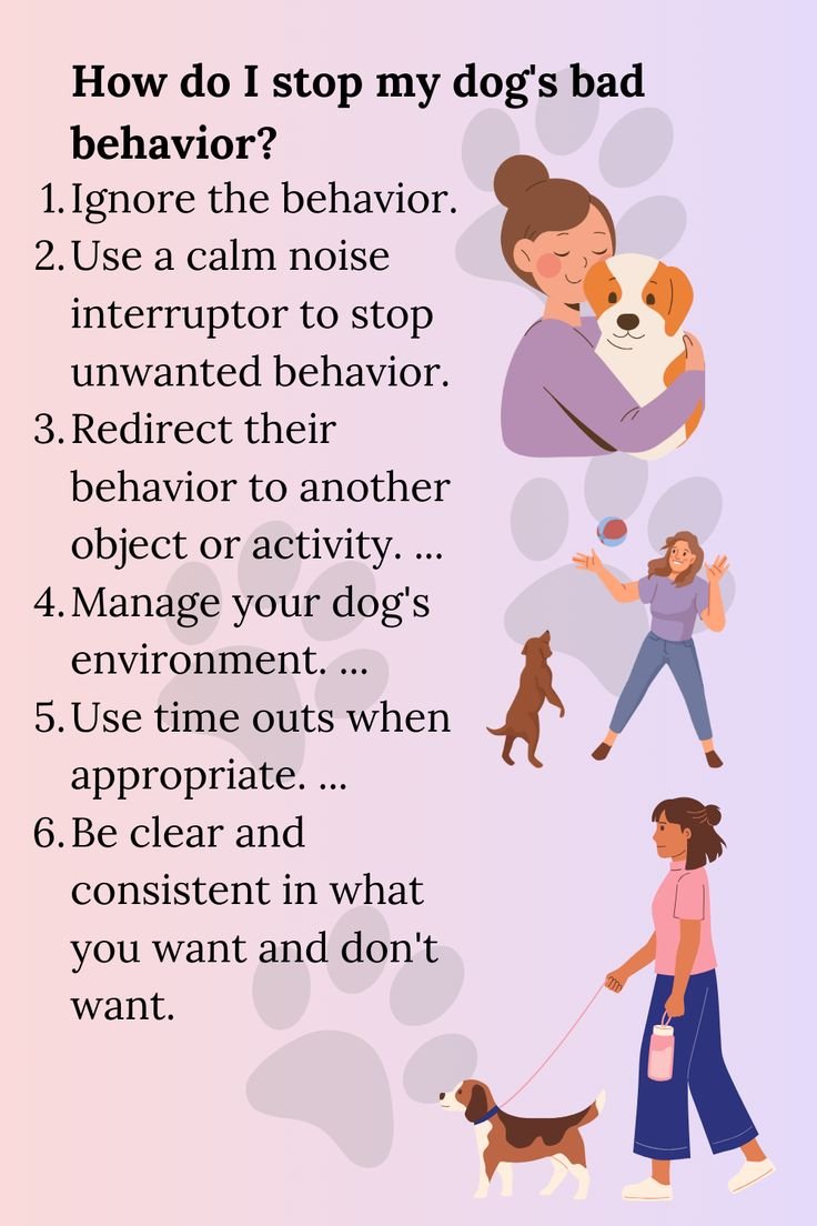 How To Stop Dog Bad Behavior