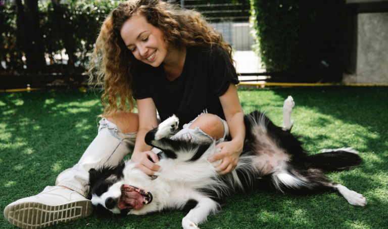 Why Do Dogs Get Attached To Humans
