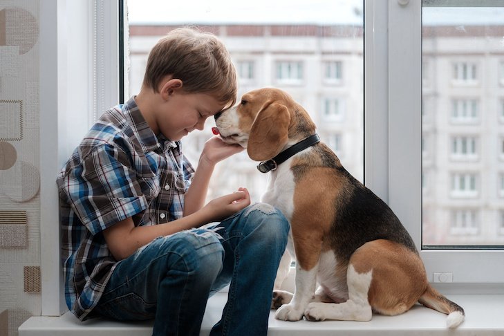 Why Do Dogs Love Humans
