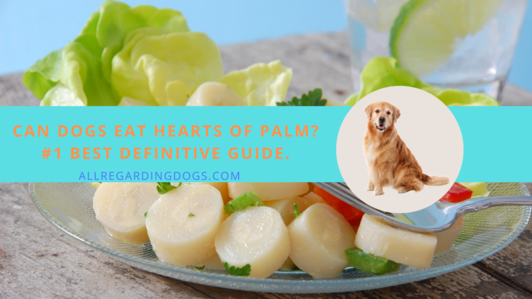 Why Does My Dog Eat Palm Leaves