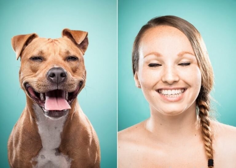 Why Do Dogs Mate With Their Owners