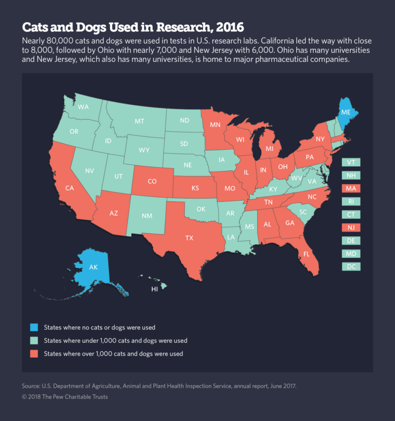 Why Are Dogs Used In Research