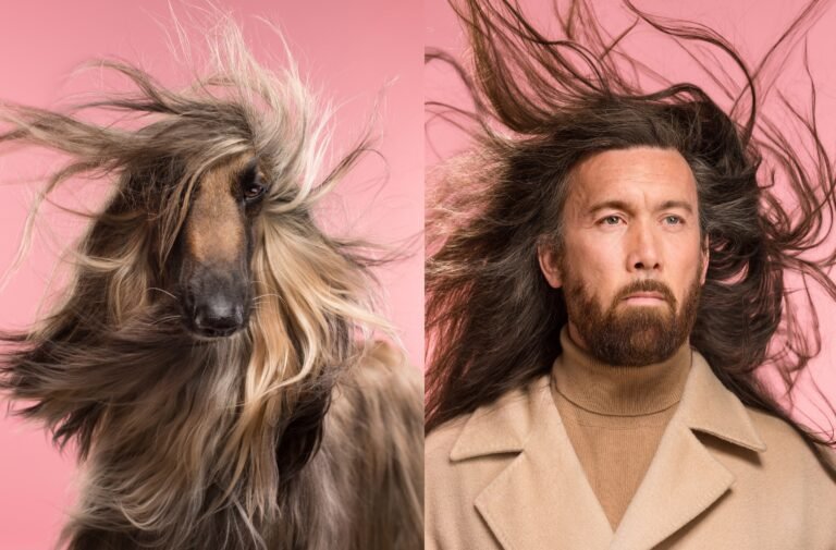 Why Do Humans Like Dogs So Much