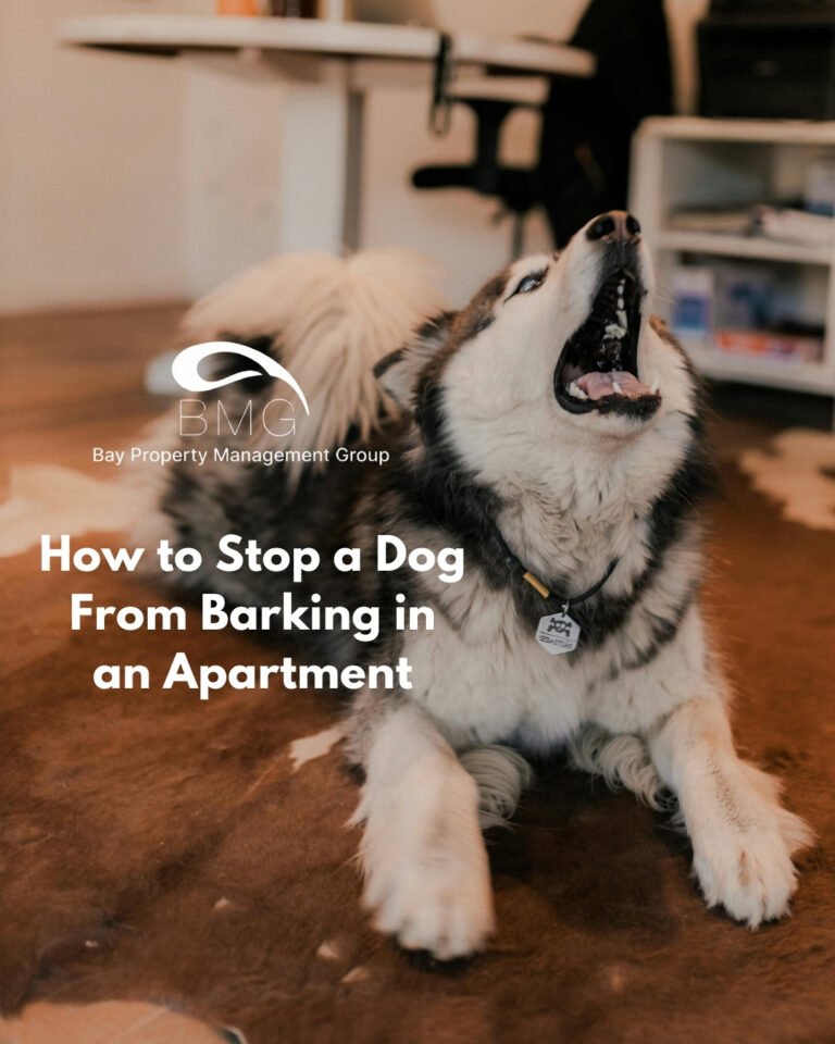 How To Get Dog To Stop Barking In Apartment