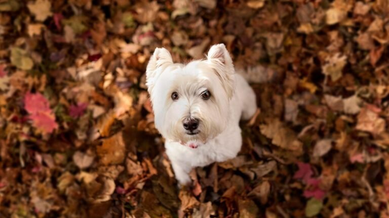 Why Do Dogs Eat Goldenrod Leaves