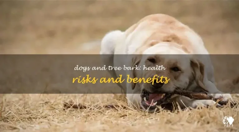 Why Do Dogs Eat Tree Bark