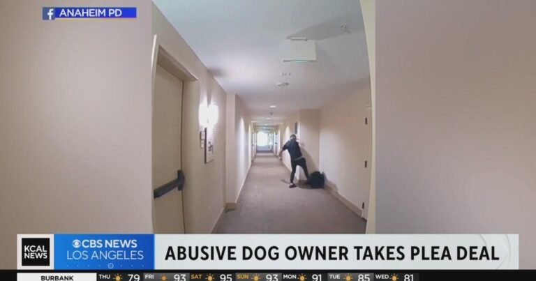 Why Are Dogs Loyal To Abusive Owners