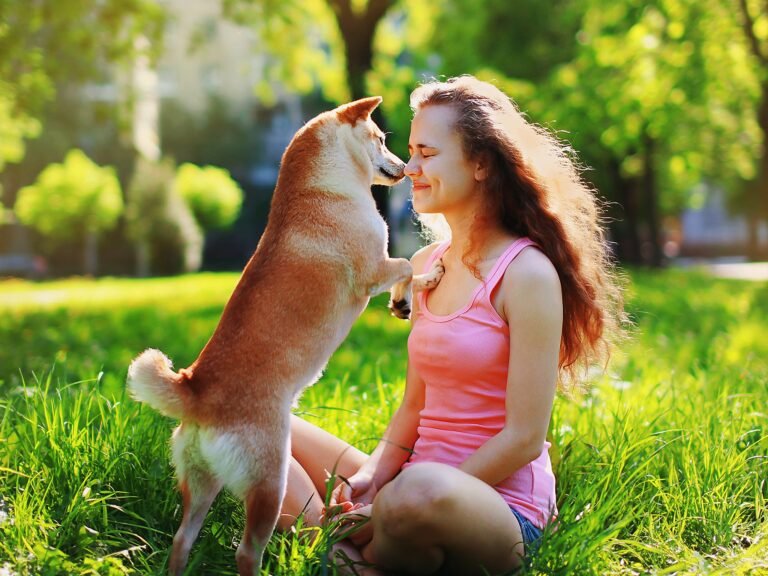 Why Do Dogs Love Their Owners