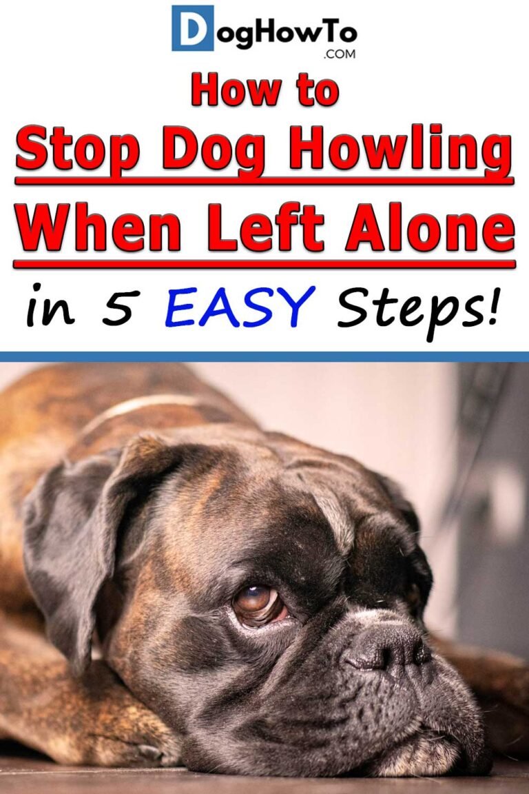 How To Stop A Dog Howling When Left Alone