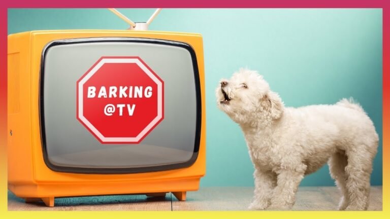 How To Stop Dog Barking At TV