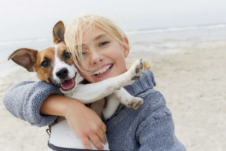 Why Do Dogs Love Humans More Than Other Dogs