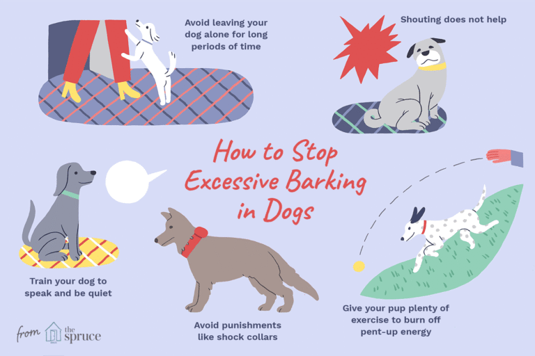 How To Stop A Dog Barking At Other Dogs