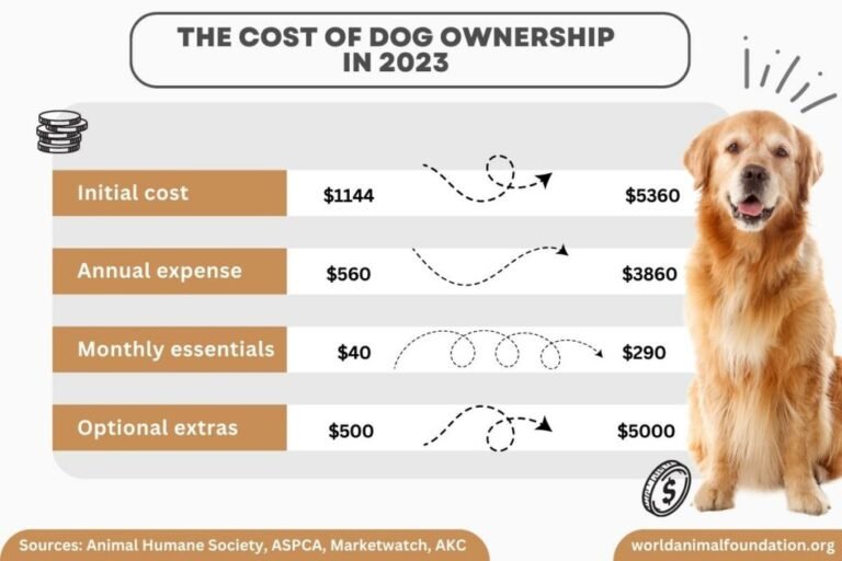 How Much Is It To Get A Dog