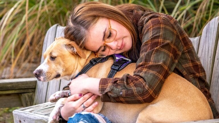 Why Do Dogs Bond With Humans